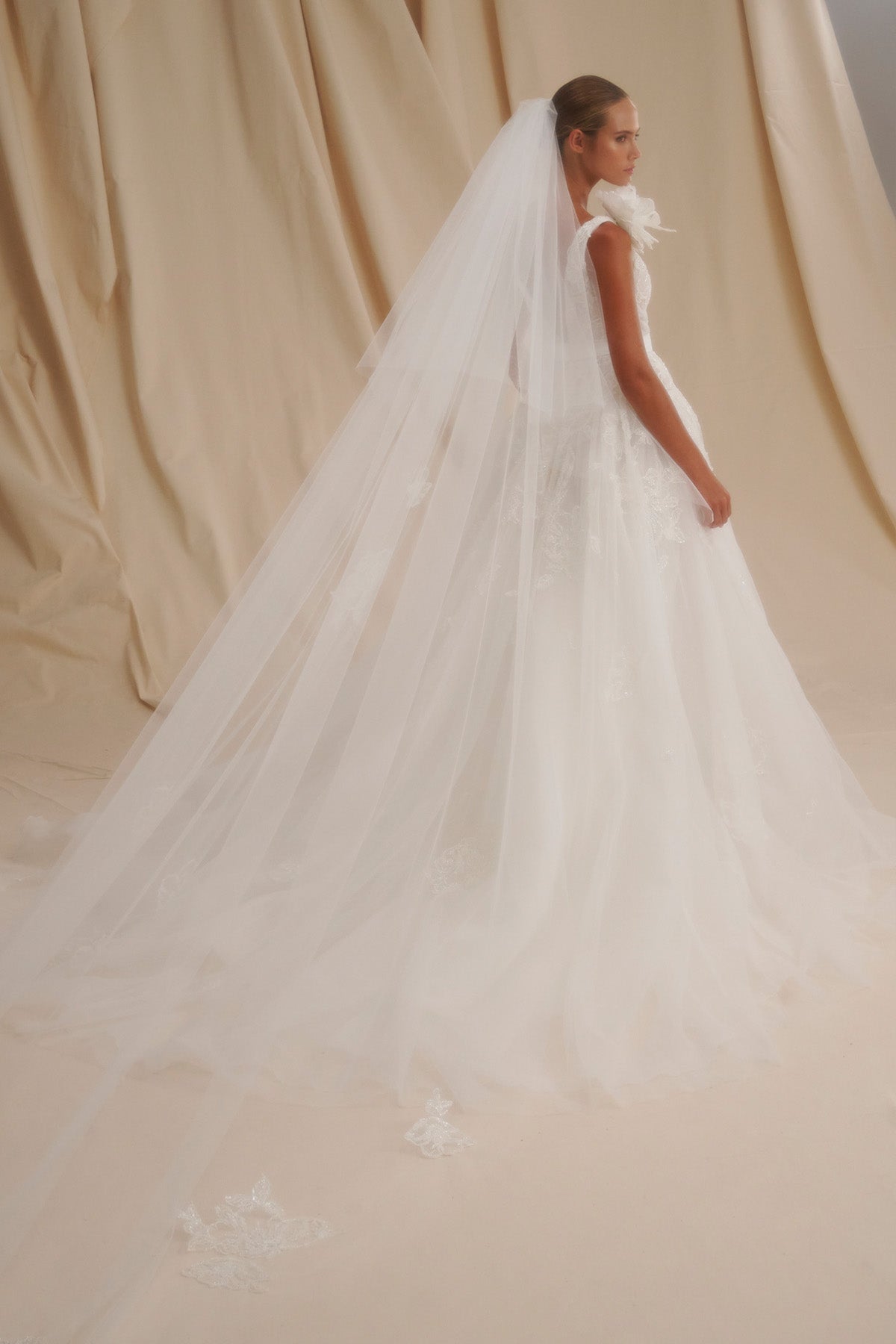 V-NECK GOWN WITH LACE APPLIQUÉS
