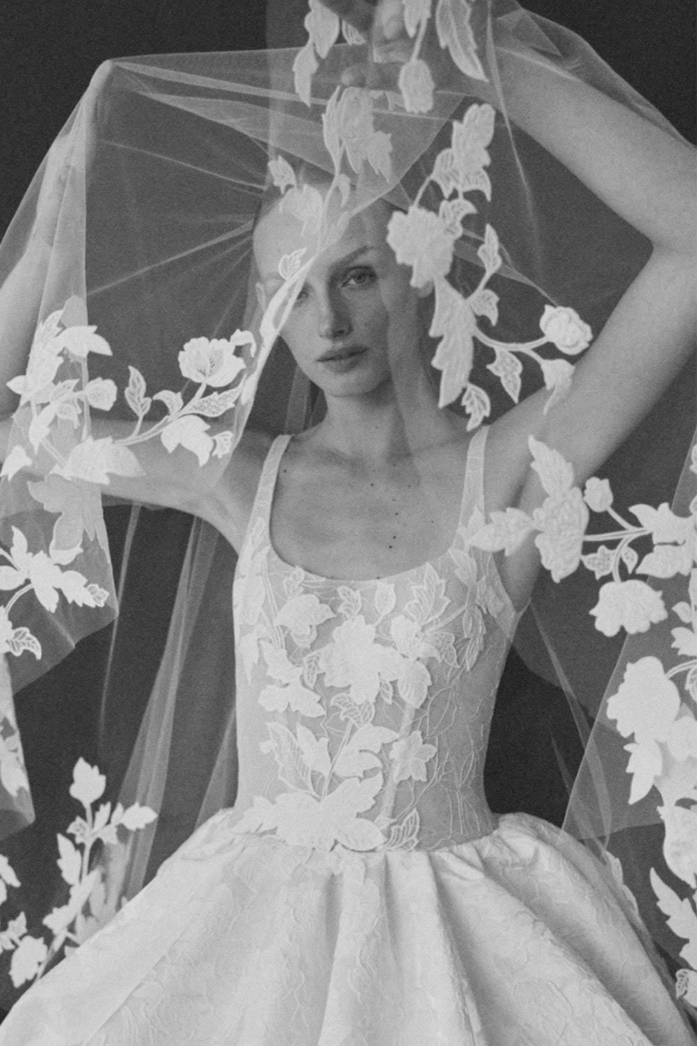 Mira Zwillinger Fall '26 Trunk Show